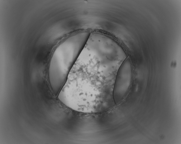 X0000091851063200710031636