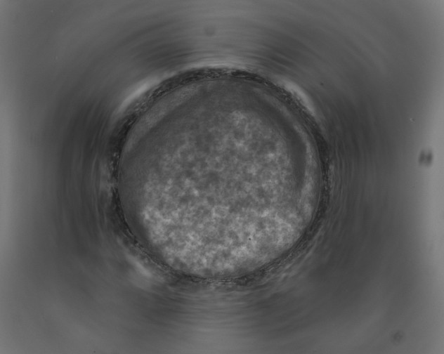 X0000091851064200710031636