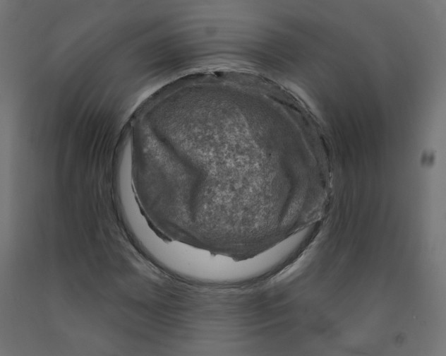 X0000091851065200710031636