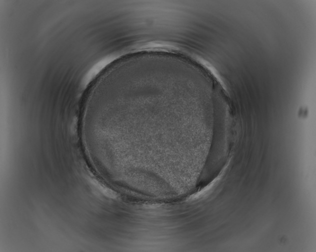 X0000091851066200710031636