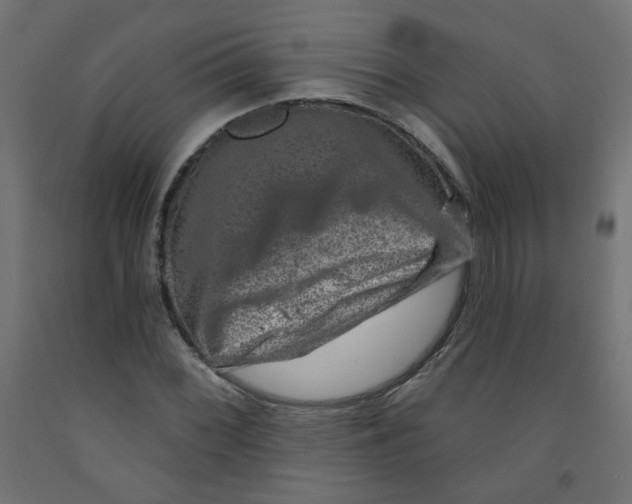 X0000091851068200710031636