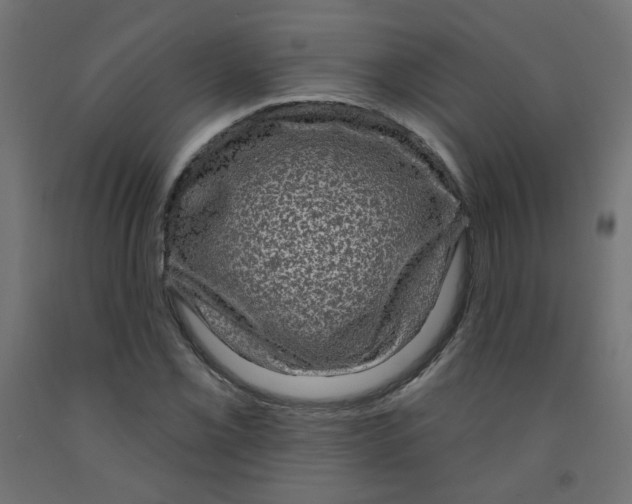 X0000091851069200710031636
