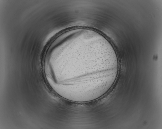 X0000091851070200710031636