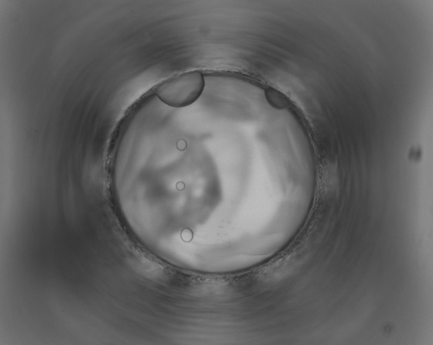 X0000091851071200710031636
