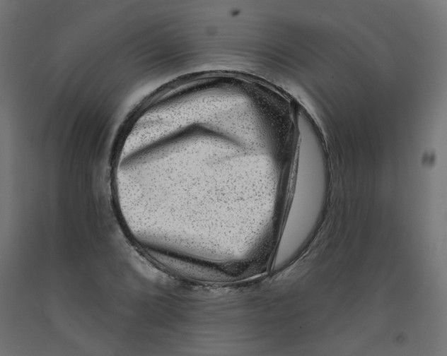 X0000091851072200710031636