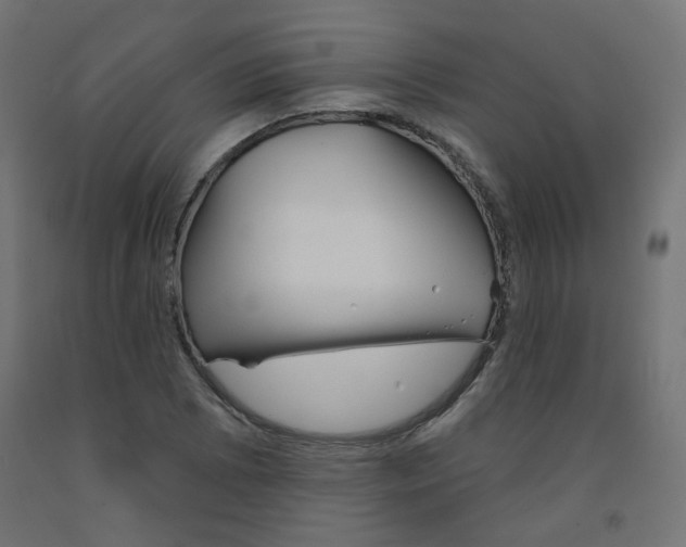 X0000091851073200710031636