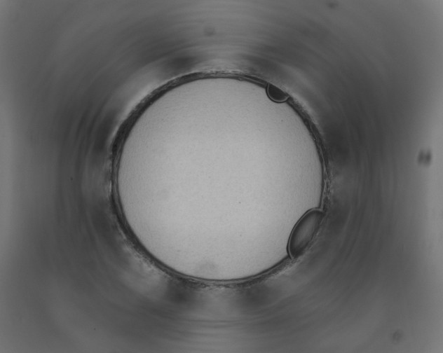 X0000091851075200710031636