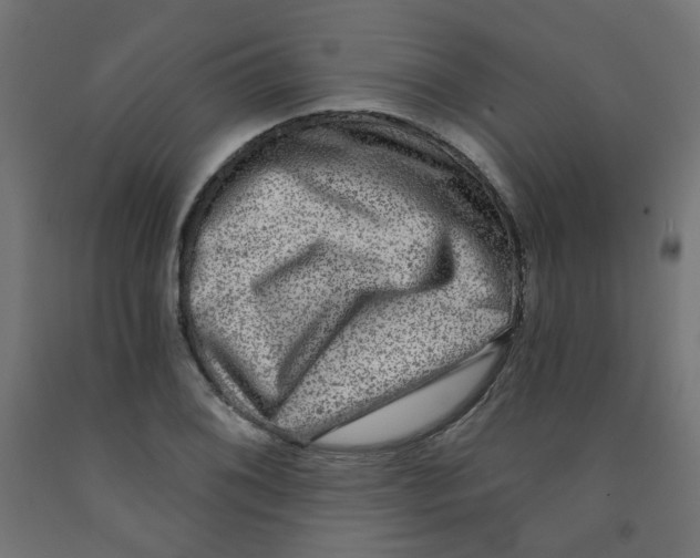 X0000091851076200710031636