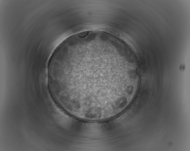X0000091851079200710031636