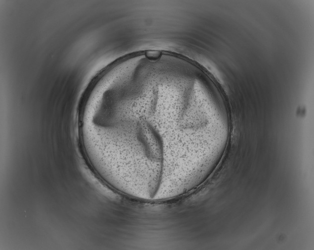 X0000091851080200710031636