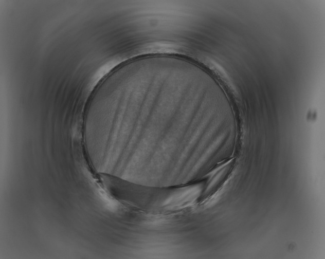 X0000091851081200710031636