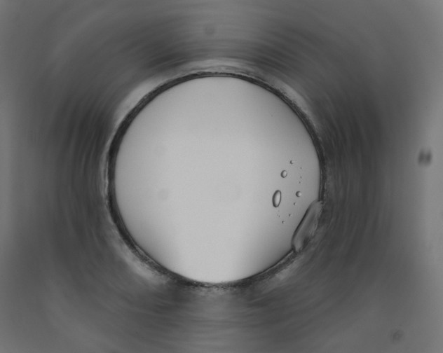 X0000091851082200710031636