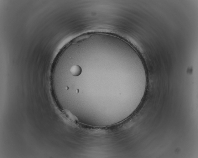 X0000091851085200710031636