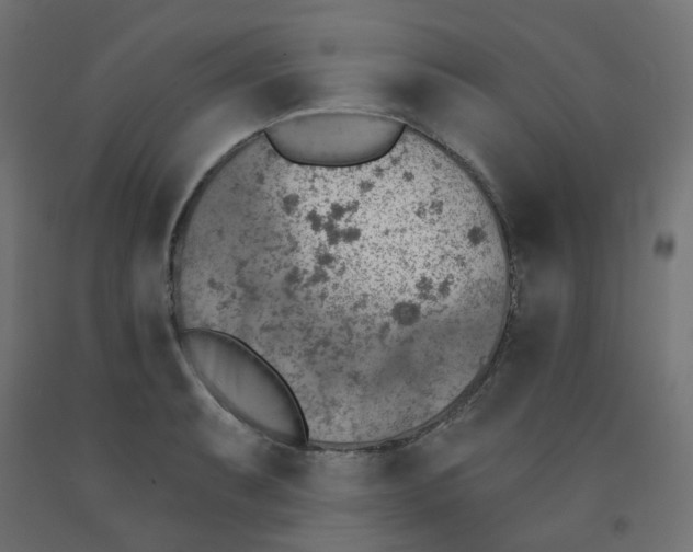 X0000091851087200710031636