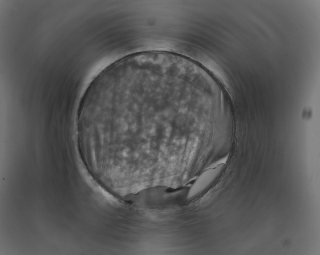 X0000091851088200710031636