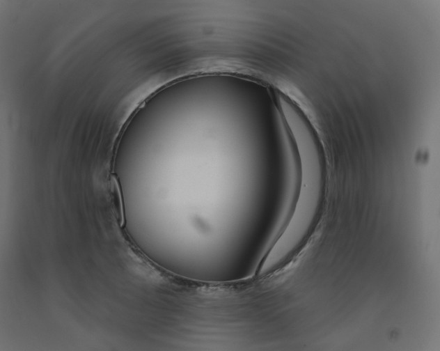X0000091851089200710031636