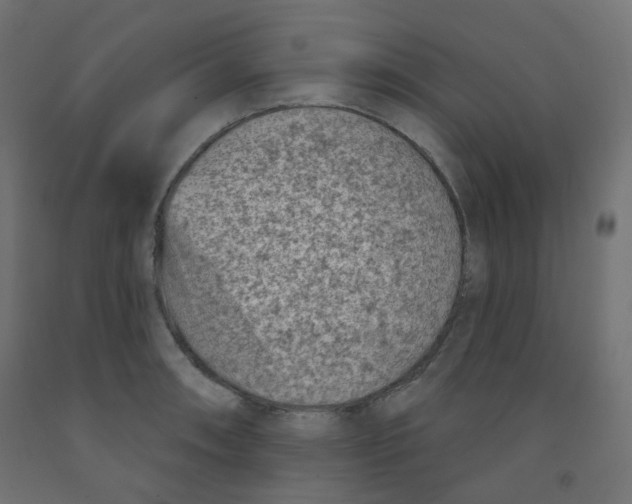 X0000091851090200710031636