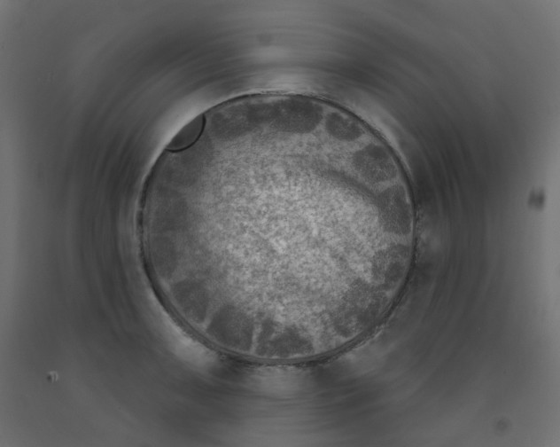 X0000091851091200710031636