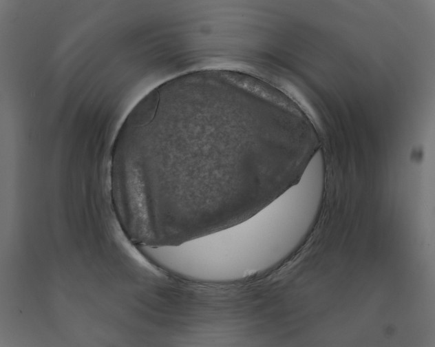 X0000091851092200710031636