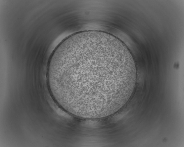 X0000091851094200710031636