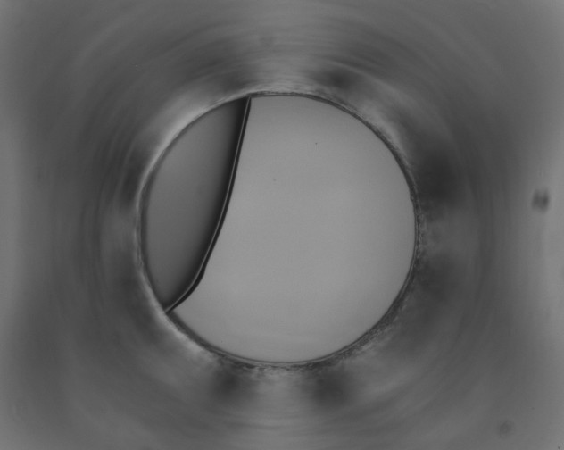 X0000091851095200710031636