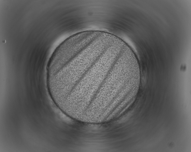 X0000091851096200710031636