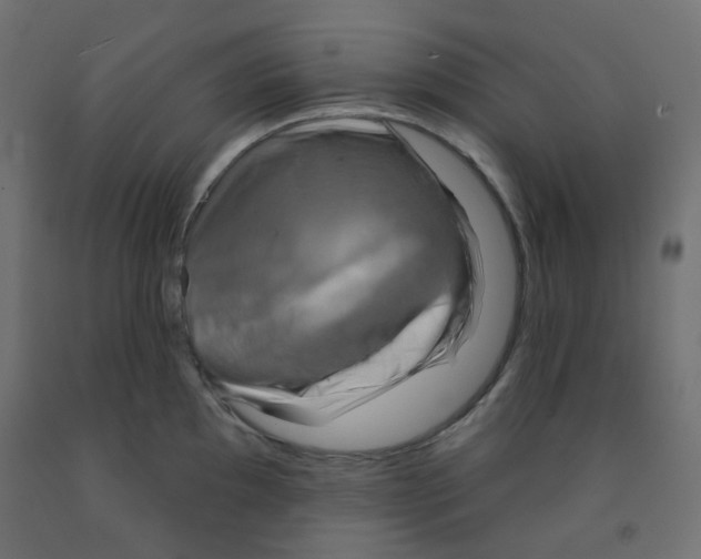 X0000091851097200710031636