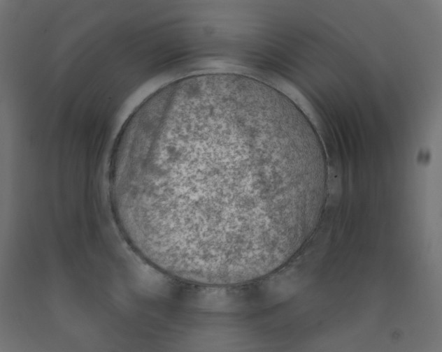 X0000091851098200710031636