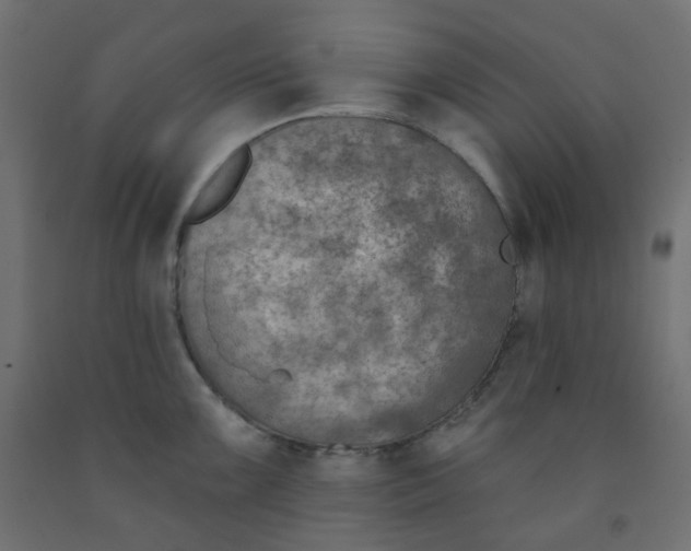 X0000091851099200710031636
