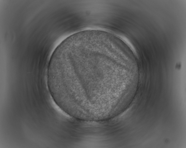 X0000091851100200710031636