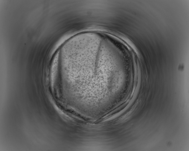 X0000091851101200710031636