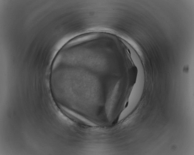 X0000091851102200710031635
