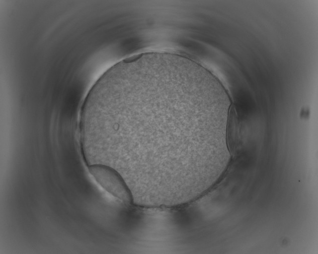 X0000091851103200710031635