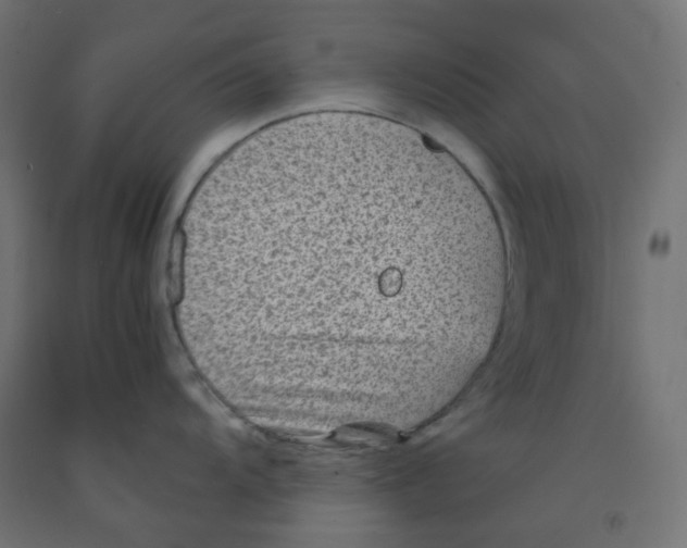 X0000091851104200710031635