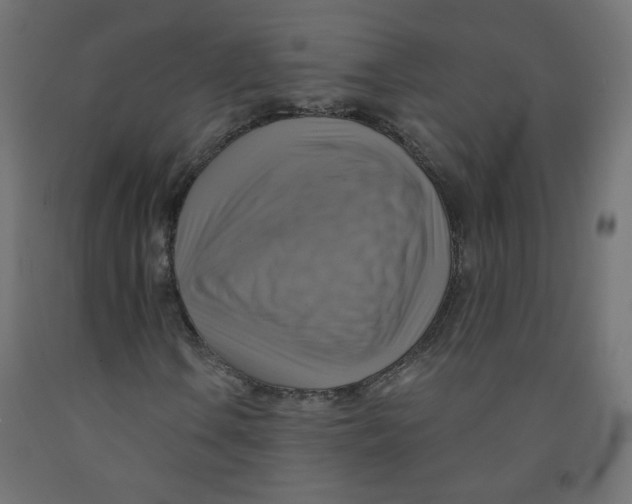 X0000091851106200710031635