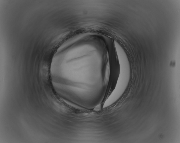 X0000091851108200710031635