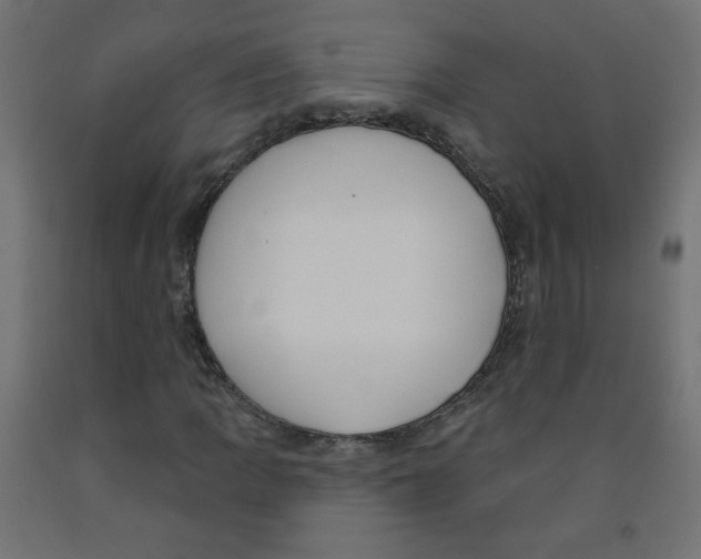 X0000091851109200710031635