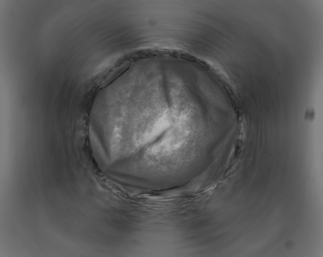 X0000091851110200710031635