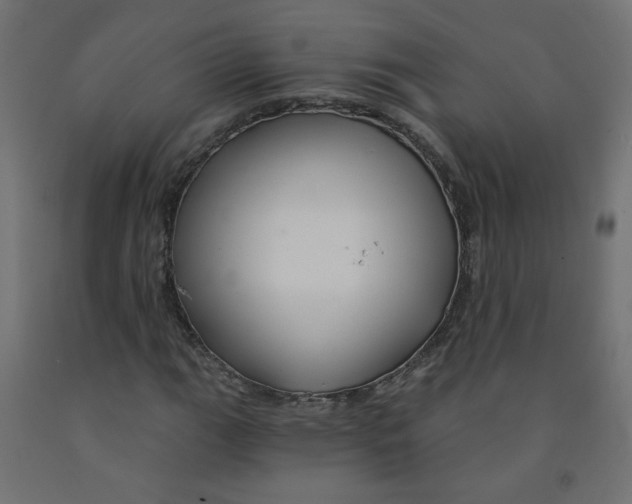 X0000091851111200710031635