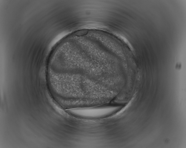 X0000091851114200710031635