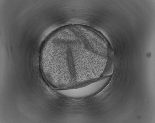 X0000091851115200710031635