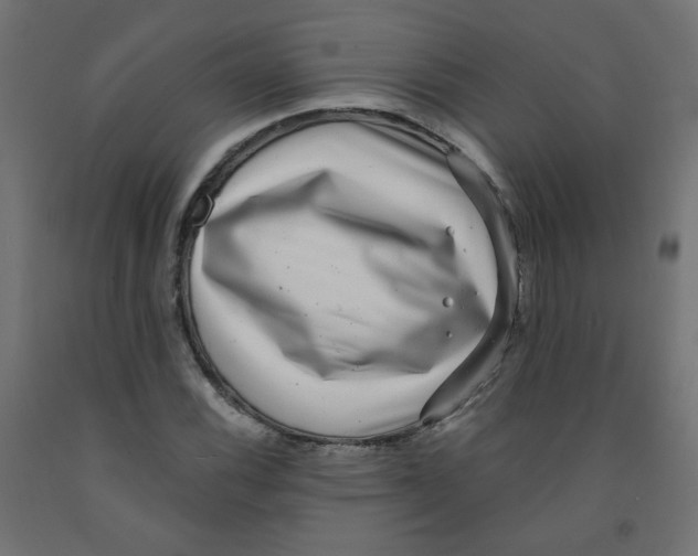 X0000091851116200710031635