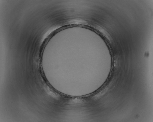 X0000091851117200710031635