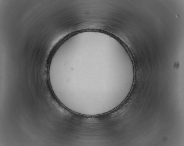 X0000091851119200710031635