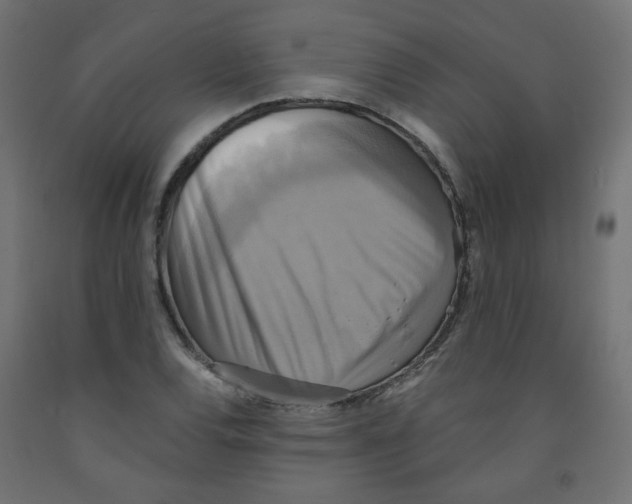 X0000091851120200710031635