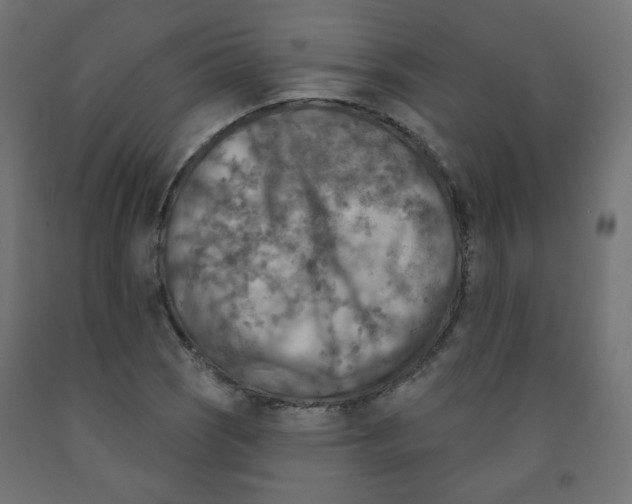 X0000091851121200710031635