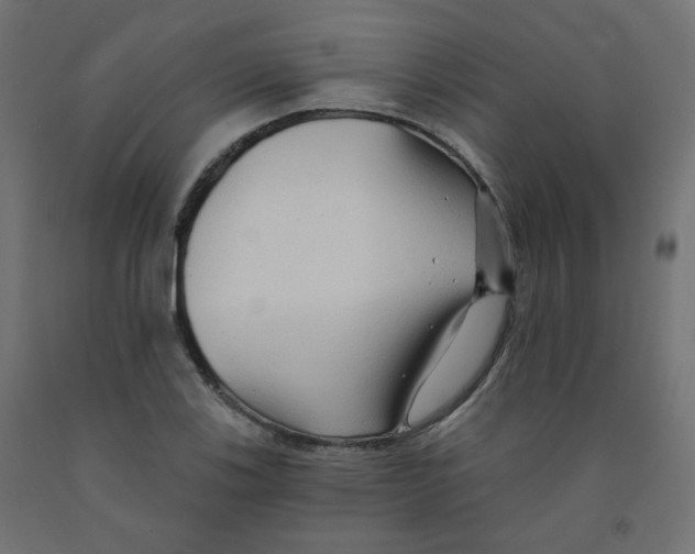 X0000091851123200710031635