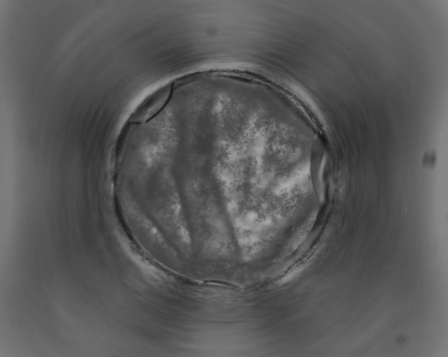 X0000091851124200710031635