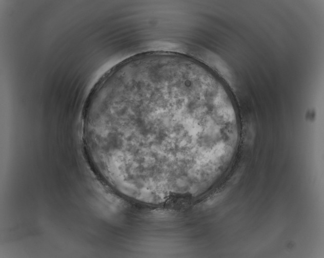 X0000091851125200710031635