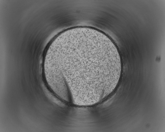 X0000091851126200710031635